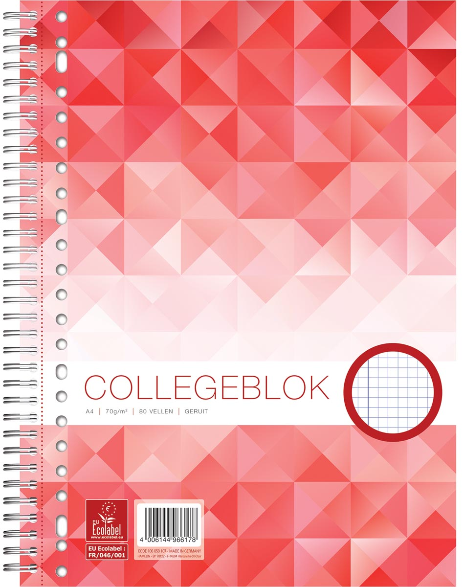 Work collegeblok A4 geruit 80 blz