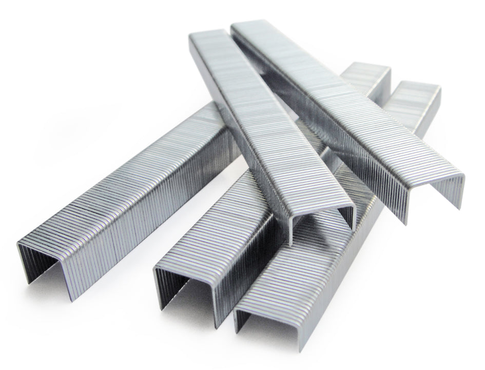 SCS_65900016