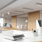 SCS_81420253