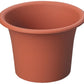 SCS_63500043