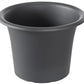 SCS_63500043