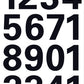 SCS_6501008