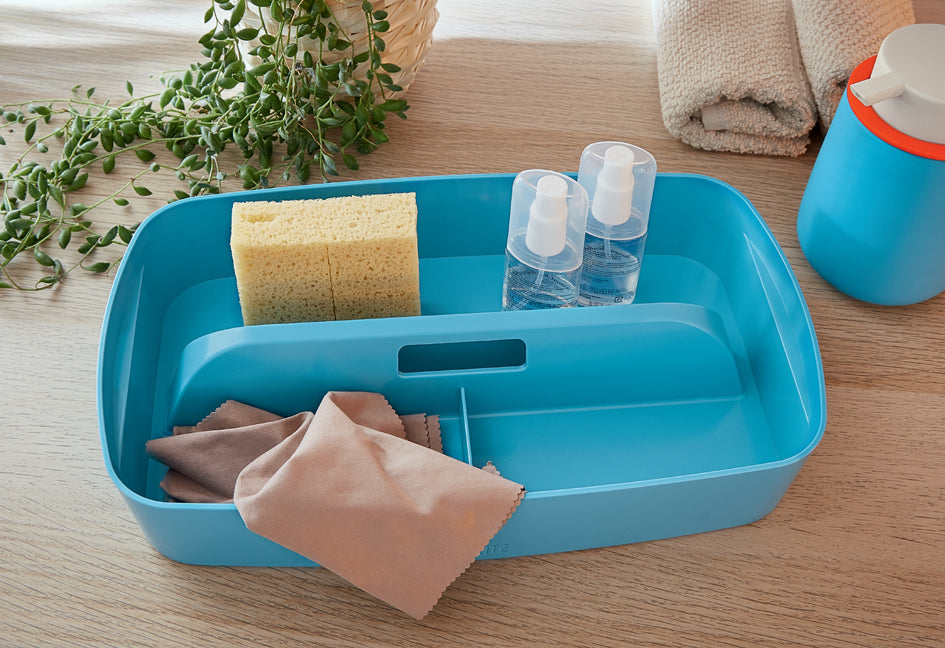 SCS_80526689
