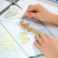 SCS_6502106