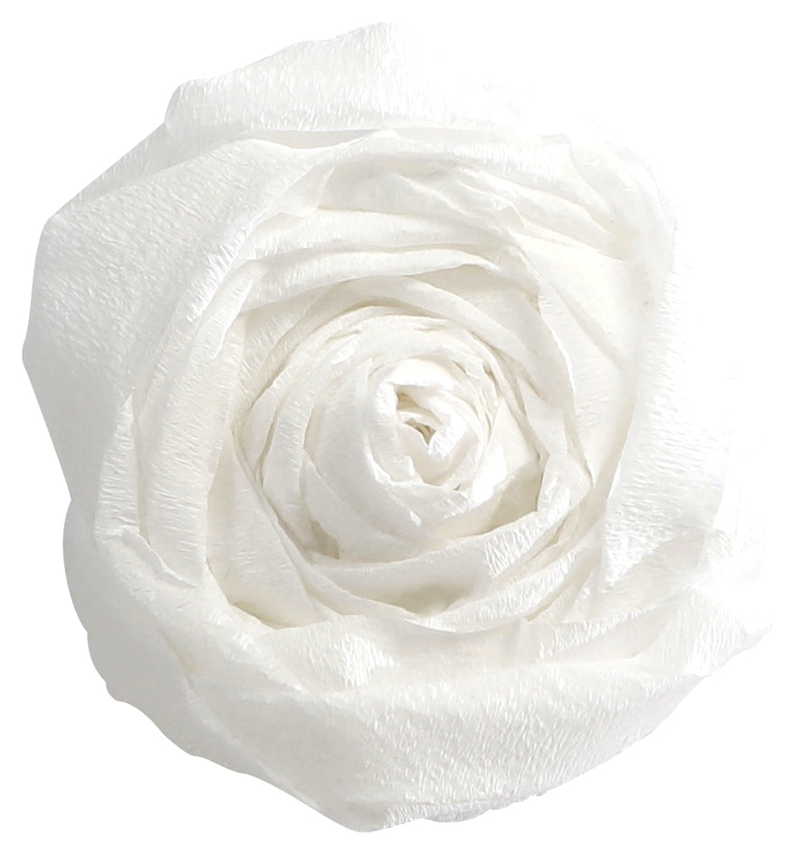 SCS_87001146