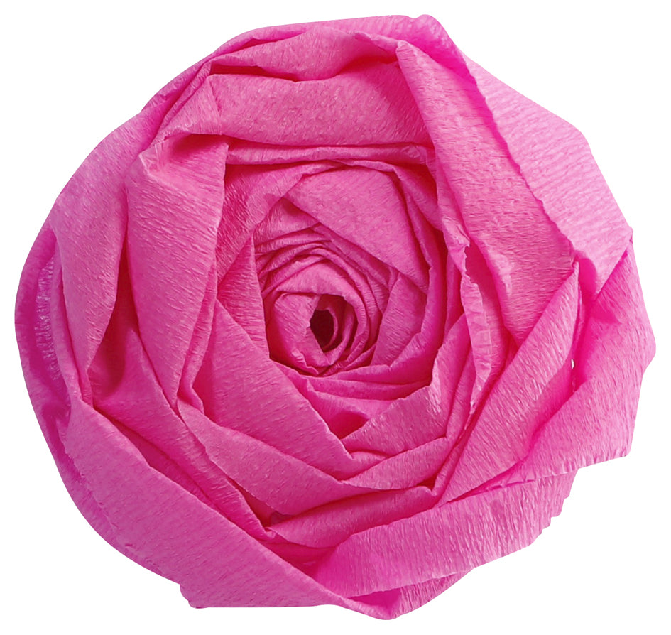 SCS_87001148