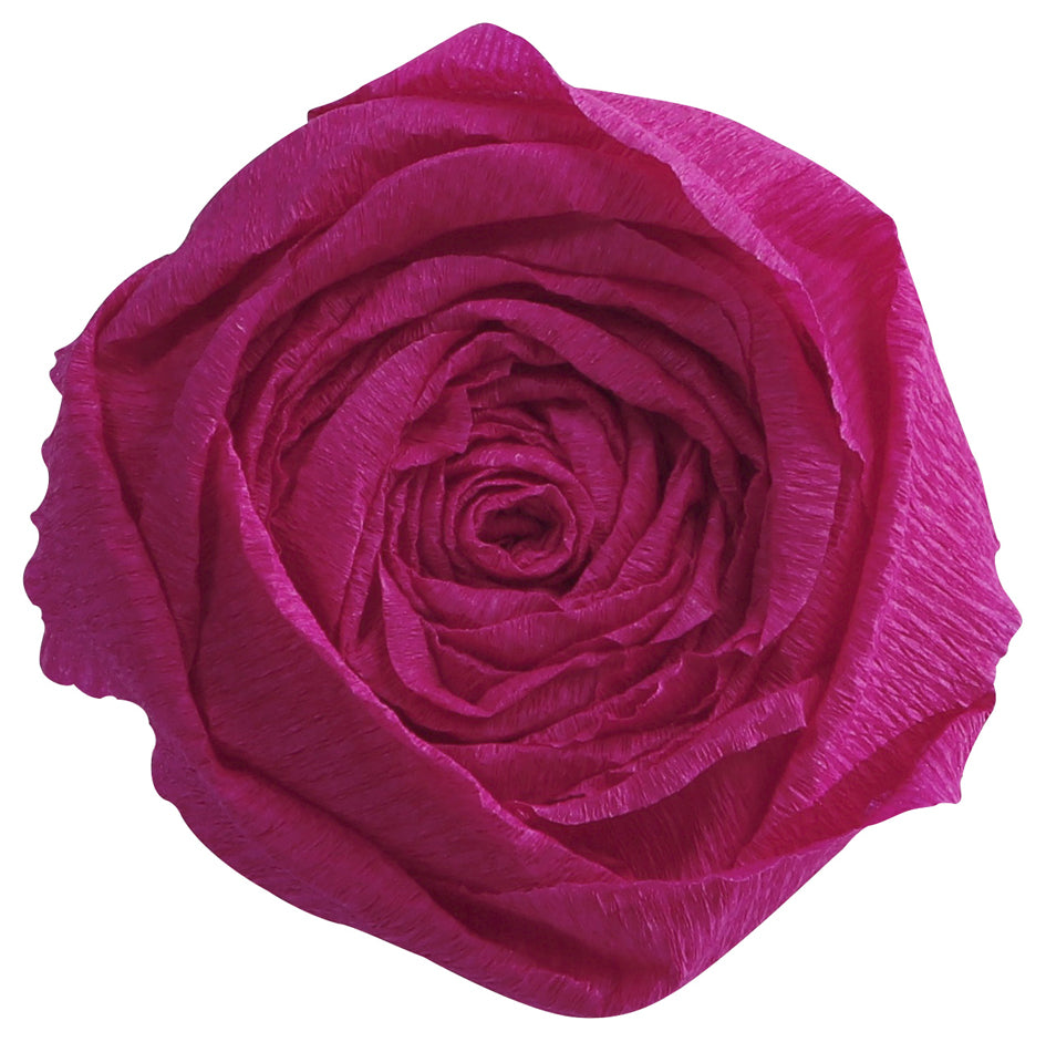 SCS_87001146