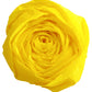SCS_87001144