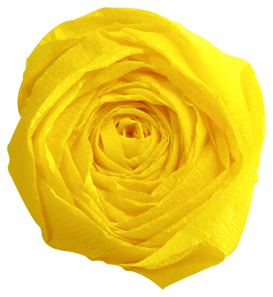 SCS_87001123