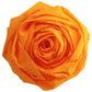 SCS_87001146