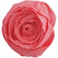SCS_87001148