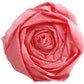 SCS_87001144