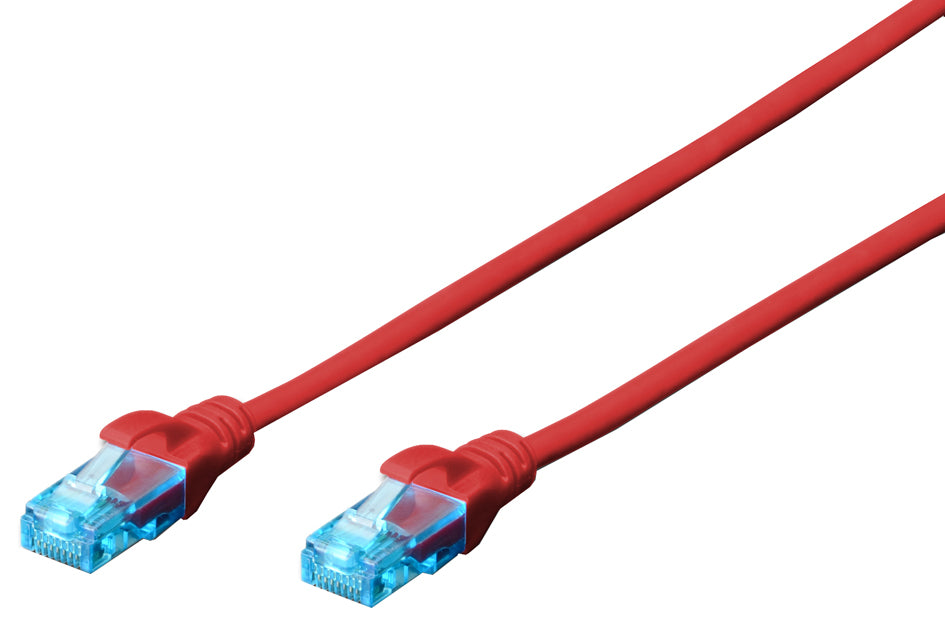 SCS_11006121