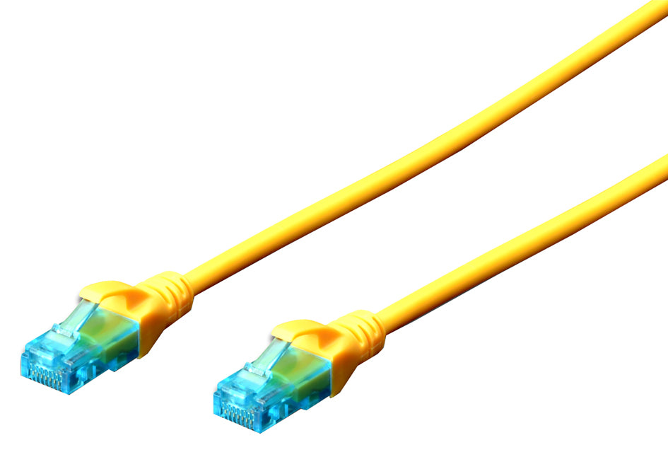 SCS_11006121