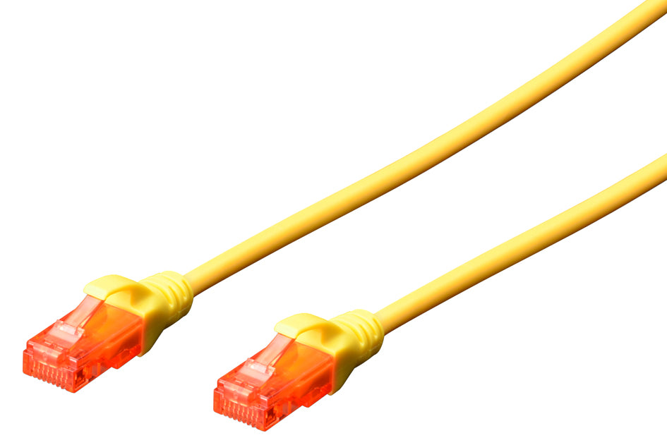 SCS_11006797