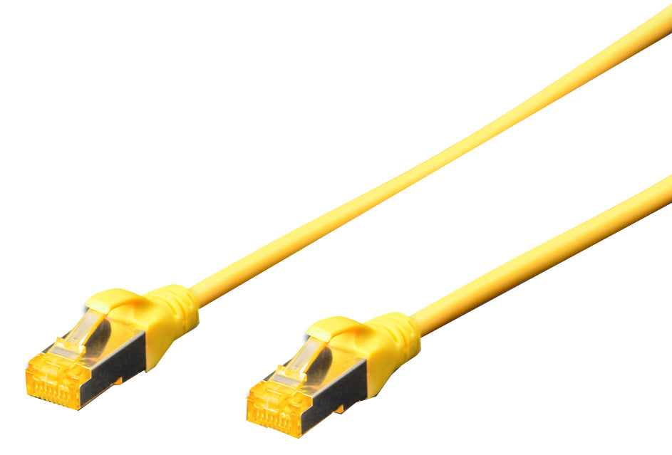 SCS_11005924