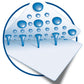 SCS_6500055
