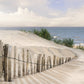 SCS_74600259