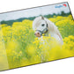 Loper Bureauonderlegger Paard in Verkrachtingsveld, 400 x 530 mm