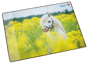Loper Bureauonderlegger Paard in Verkrachtingsveld, 400 x 530 mm