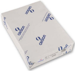 CANSON Tekenblok Bristol, 750 x 1.100 mm, 250 g/m, wit