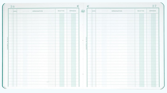 Exacompta ontvangsten en uitgaven, ft 21 x 19 cm, Nederlandstalig