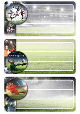HERMA boek etiketten raceauto's, 76 x 35 mm