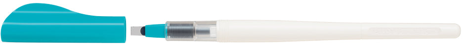 Piloot 579561