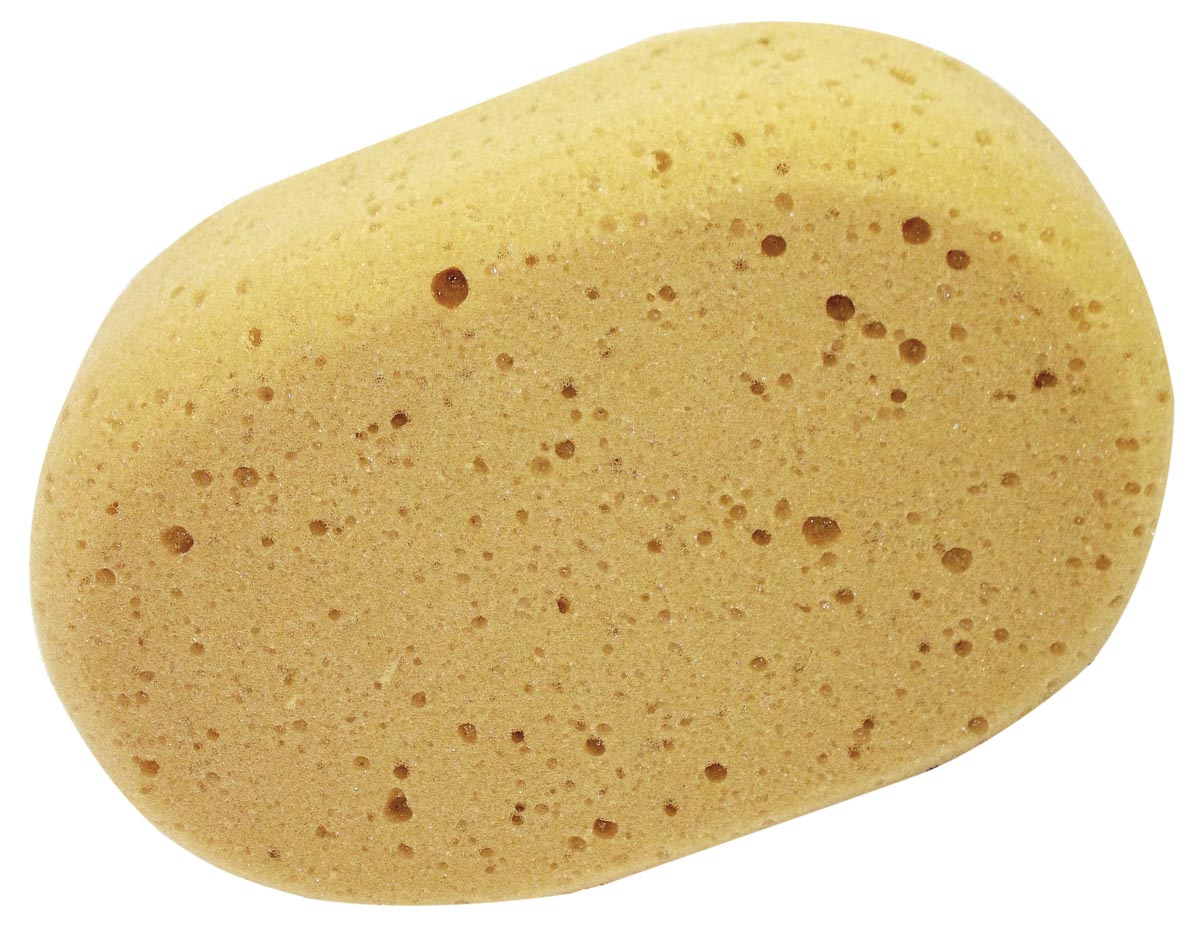 Aqualine ovalen spons ft 20 x 14 x 7 cm