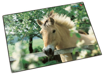 Loper Bureauonderlegger Paard aan de weide omheining, 400 x 530 mm