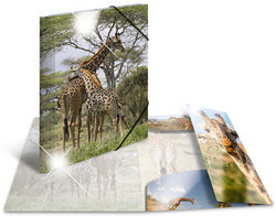 HERMA hoekmap Giraffe, PP glanzend, DIN A4