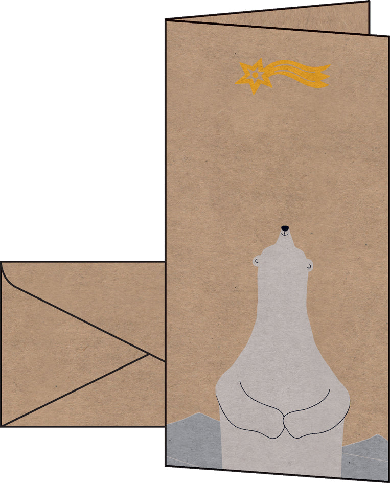 sigel kaarten DS078