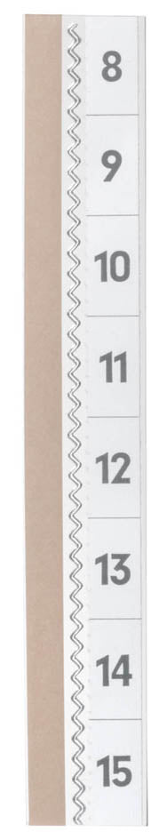 DURABLE TABFIX volledig zichtbare tabbladen, transparant, 2 regels