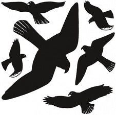 HERMA etiketten waarschuwingsvogels, folie, weerbestendig, zwart