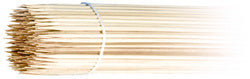 NATUUR Ster shish kebab, gemaakt van hout, lengte: 200 mm
