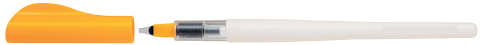 Piloot 579561