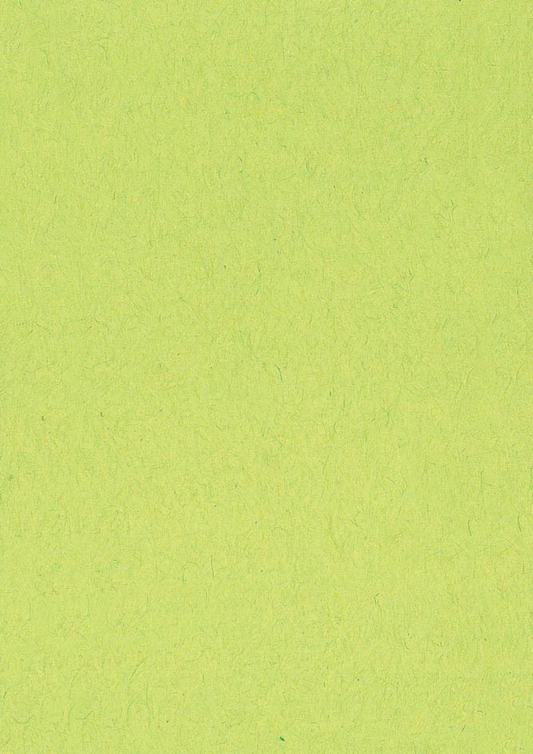 Gekleurd tekenpapier lichtgroen
